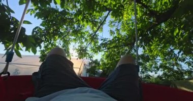 Çiftlikte tasasız bir gün. Çiftçi bahçıvan ağaçların üzerinde sallanıyor ve kırsalda sebze, sebze ve doğal bitkilerin tadını çıkarıyor.