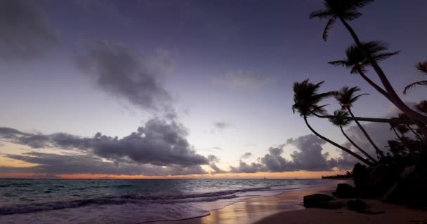 熱帯の島のビーチ ヤシの木のラグーンと色の海の日の出 カリブ海 プンタカナ ドミニカ共和国 — ストック動画