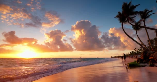 热带岛屿海滩 棕榈树泻湖和彩色海洋日出 加勒比海 多米尼加共和国 蓬塔卡纳 — 图库视频影像