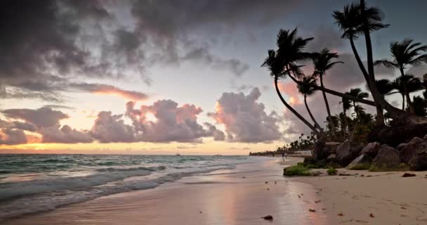 熱帯の島のビーチ ヤシの木のラグーンと色の海の日の出 カリブ海 プンタカナ ドミニカ共和国 — ストック動画