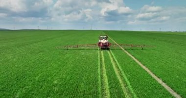 Yeşil tarlayı gübreleyen traktör. Çiftçi böcek ilacı sıkıyor. Genç bitkiler havadan 4K video çekiyor.