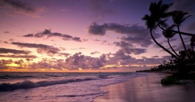 Renkli okyanus gündoğumu ve cennet Karayip adası plajı Hindistan cevizi palmiye ağaçları Bavaro, Punta Cana, Dominik Cumhuriyeti, sinematik görüntü 4k