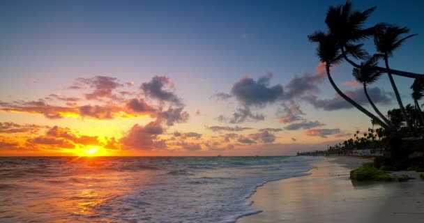 Barva Oceánu Východ Slunce Ráj Karibské Ostrov Pláž Kokosovými Palmami — Stock video