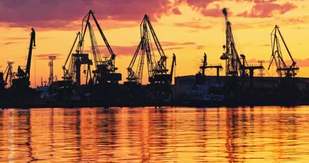 Mořský Přístav Pracovními Průmyslovými Jeřáby Během Malebného Západu Slunce Obchodní — Stock video