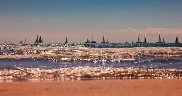 Giornata Sole Una Spiaggia Vela Barche Vela Bianche All Orizzonte — Video Stock