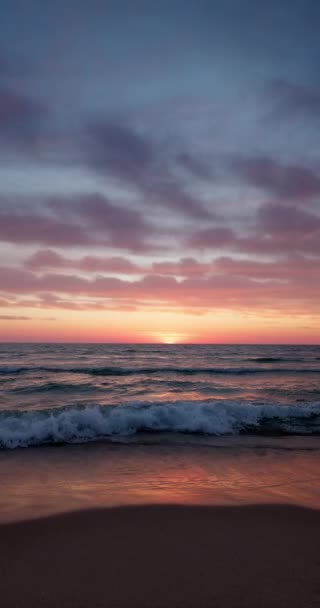 Восход Солнца Над Океанским Пляжем Летающие Птицы Вертикальное Видео — стоковое видео