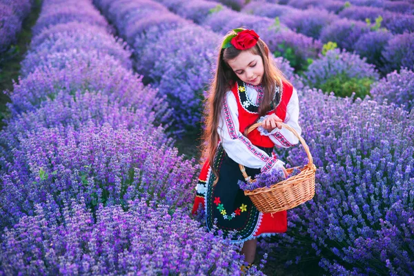 Bulgarian Girl Ethnic Traditional Folklore Dress Picking Lavender Herbs Basket — Stock Photo, Image