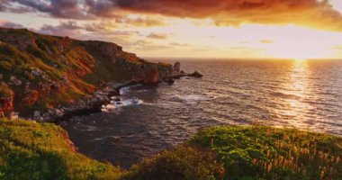 Bulgaristan 'ın Karadeniz kıyısında çiçek açan kırmızı şakayıklar, Ulusal Arkeolojik Rezerv ve 4k sinematik video ile Yailata uçurumunun gündoğumu manzarası