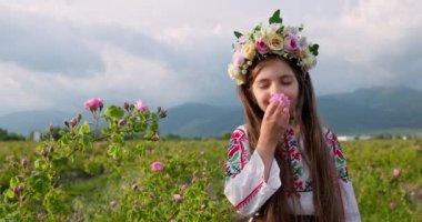Güzel bir kız, etnik folklor elbiseli genç bir kadın aromatik güllerin tadını çıkarıyor ve Bulgaristan 'ın Kazanlak kentindeki Gül Vadisi' nde parfümlü gül (Rosa Damascena) topluyor.