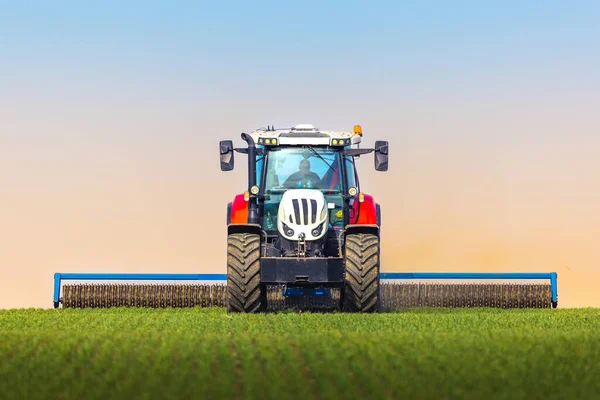 春のフィールドにローラーティレージを持つトラクター 土壌圧延は発芽をサポートし 良好な収穫 有機農業と農業の基盤です — ストック写真