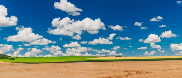 Зелене Поле Блакитне Небо Хмарами — стокове фото