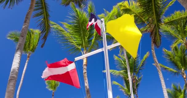 ドミニカ共和国の波旗 雲とヤシの木の葉を背景に青い空に風に安全黄色のバナーとスキューバダイビングの赤い旗 — ストック動画