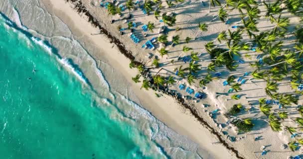 熱帯カリブ海とビーチリゾートの日の出の空中ビュープンタカナ ドミニカ共和国 ドミニカ共和国4Kビデオ — ストック動画