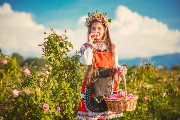 美しい女の子 民族衣装を着た若いブルガリア人女性が芳香のあるバラを楽しみ カザフスタンのローズバレーで香水油ベアリングローズ ローザ ダマセナ を選ぶ — ストック写真