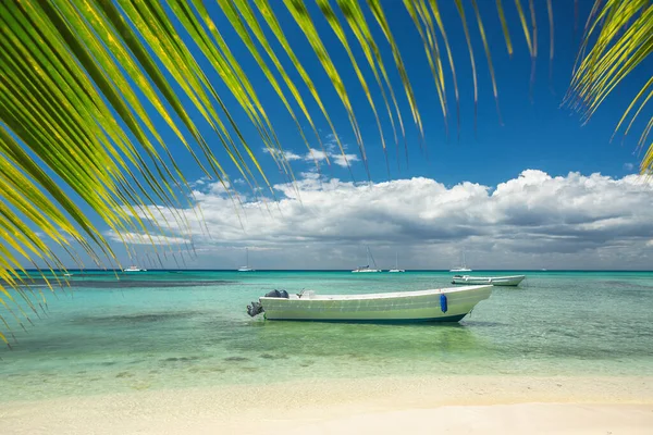 加勒比海和帆船在海滨 美丽的全景热带景色 — 图库照片