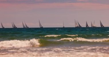 Güneşli sahil gündoğumu ve yelkenli tekne ve yat tekneleri denizde yarış yapıyor. Yachting yarışması 4K video