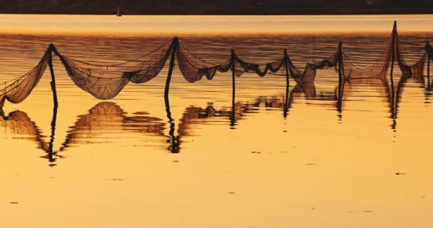 Visnetten Die Vissers Bij Zonsondergang Het Water Hebben Geplaatst — Stockvideo