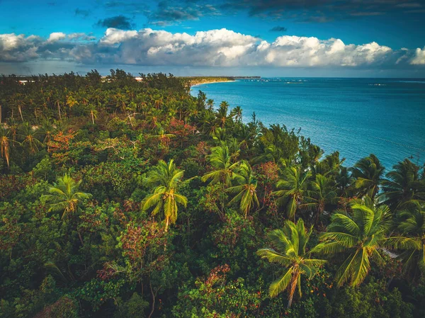 熱帯島のビーチとカリブ海 ドミニカ共和国の空中パノラマビュー — ストック写真