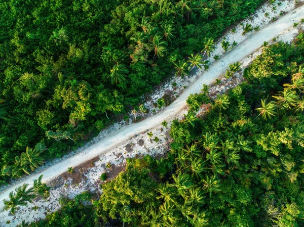 热带岛屿的空中景观 多米尼加共和国丛林中的道路 — 图库照片