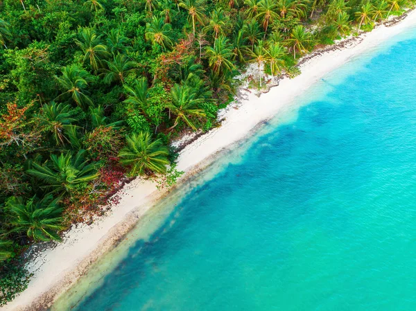 Vista Panorâmica Aérea Praia Ilha Tropical Mar Caribe República Dominicana — Fotografia de Stock