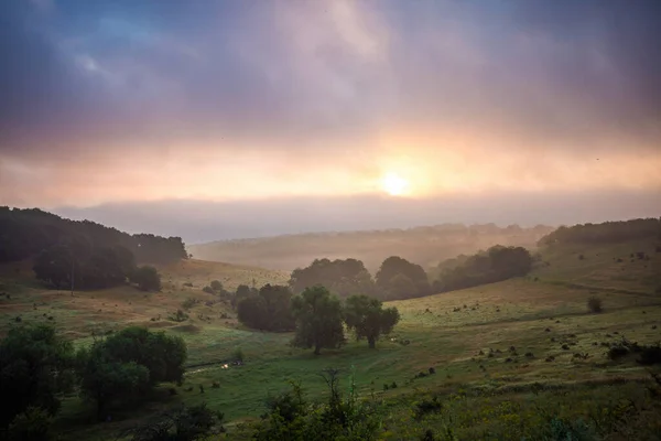 Peisajul Natural Dealurilor Montane Ceață Răsărit Peste Copaci Pășuni — Fotografie, imagine de stoc