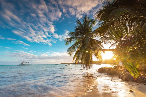 Playa Isla Tropical Con Palmeras Orilla Del Mar Caribe Amanecer — Foto de Stock