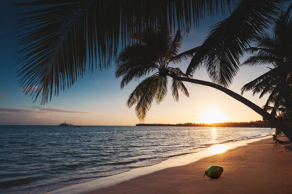 Praia Tropical Ilha Com Palmeiras Costa Mar Caribe Nascer Sol — Fotografia de Stock