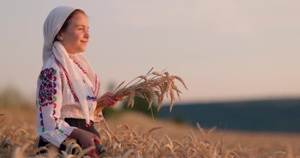 Campo Trigo Colheita Por Sol Agricultor Mulher Búlgara Traje Folclore — Vídeo de Stock