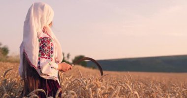 Buğday tarlası günbatımı hasadı ve etnik folklor kostümlü Bulgar kadın çiftçi Bulgaristan 'da altın buğday kamışları ve orağı ellerinde, hasat ve tarım