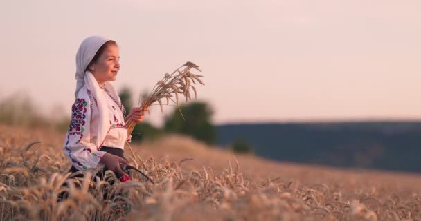 Campo Trigo Cosecha Del Atardecer Mujer Agricultora Bulgara Traje Folclórico — Vídeos de Stock