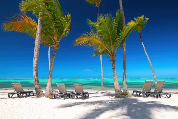 Exotic Sland Beach Palm Trees Caribbean Sea Shore Summer Tropical — Stock Photo, Image