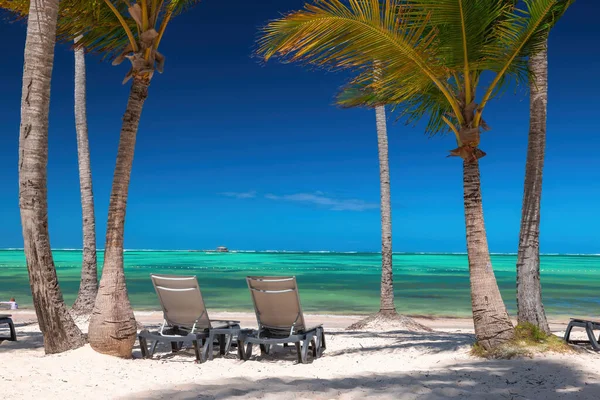 カリブ海沿岸のヤシの木とサンラウンジ 夏の熱帯休暇を持つエキゾチックな島のビーチ — ストック写真