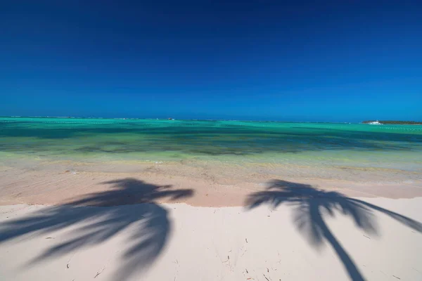 Экзотический Островной Пляж Тенью Пальм Берегу Карибского Моря Летний Отдых — стоковое фото