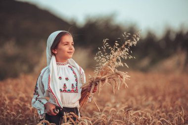 Buğday hasadı ve gururlu Bulgar kız geleneksel etnik folklor elbisesi ve orakla bir tarlada çalışıyor. Tarım Bulgaristan.