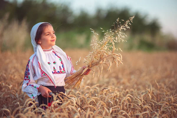 Trigo Dourado Campo Colheita Mulher Búlgara Com Foice Para Colheita — Fotografia de Stock
