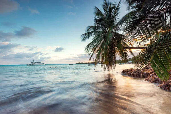 여름철 휴일인 카리브해 연안에 야자나무가 이국적 섬의해 — 스톡 사진