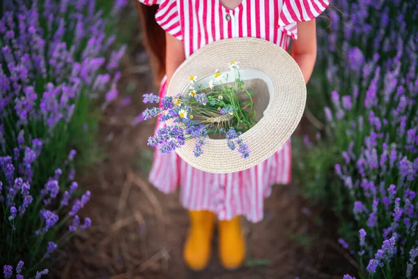 Blommande Lavendel Fält Och Vacker Kvinna Med Klänning Och Bukett — Stockfoto