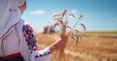 Geleneksel etnik folklor kostümü giymiş Bulgar nakışlı kız altın buğday tarlasında duruyor