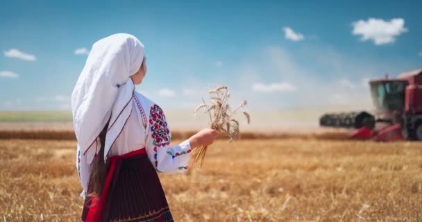 Dívka Tradičním Etnickém Folklórním Kostýmu Bulharskou Výšivkou Stojící Poli Zlaté — Stock video