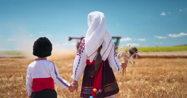 Bulgaarse Jongen Meisje Folklore Kostuum Werken Aan Oogst Gouden Tarweveld — Stockvideo
