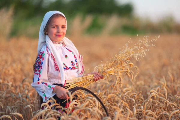 民族衣装を着た農家の女性ブルガリア人の少女は 収穫分野 ブルガリアでの収穫と農業で黄金の小麦の藁と鎌を保持しています — ストック写真