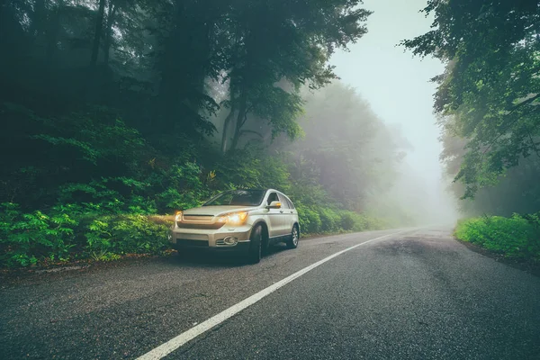 霧の霧の中で森の中の道路上の車の旅山脈の朝 — ストック写真