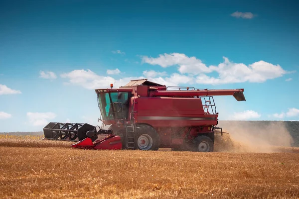 Combine Máquina Cosechadora Que Trabaja Campo Trigo — Foto de Stock