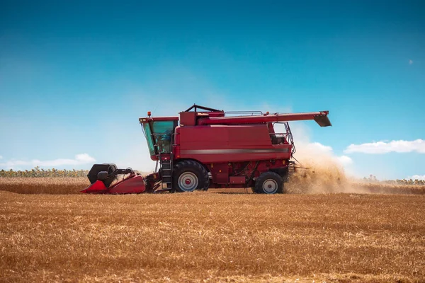 Combine Harvester Machine Working Wheat Field — Stock Photo, Image