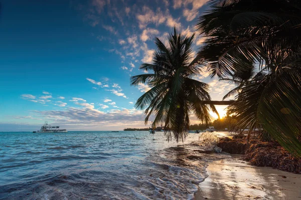 热带岛屿海滩 日出时分在加勒比海沿岸有棕榈树 — 图库照片