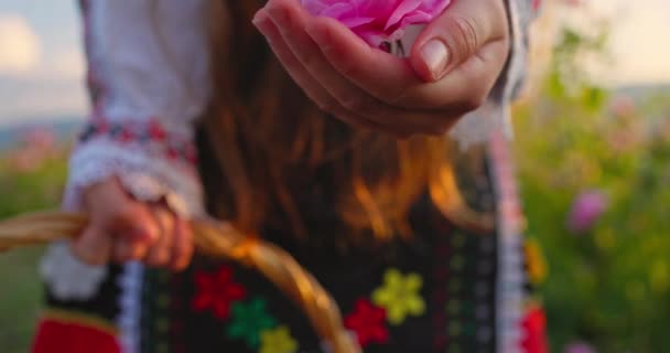의류에서 불가리아 여자는 바구니에 Damascena 베어링의 꽃잎을 불가리아의 — 비디오