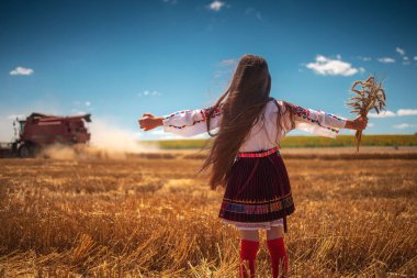 Altın buğday tarlası hasat zamanı ve etnik folklor kostümlü Slav kız Bulgar nakışlarıyla bir çayır üzerinde çalışıyor.