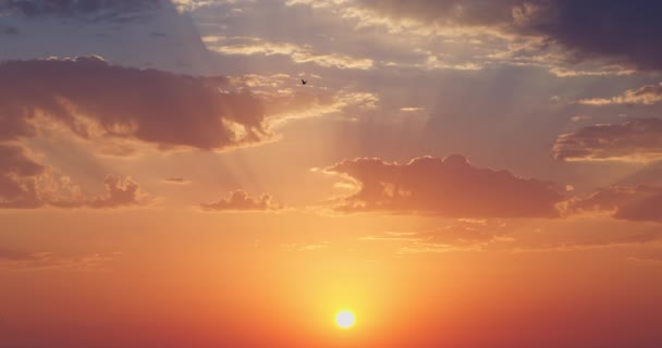Morgen Sonnenaufgang Sonne Steigt Farbe Himmel Wolken Über Dem Horizont — Stockvideo