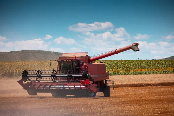 Комбайновая Машина Работающая Летнем Пшеничном Поле Осени — стоковое фото