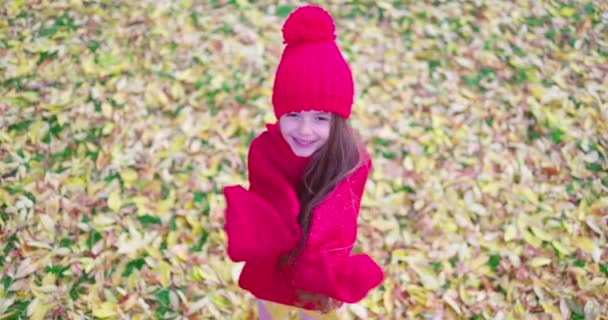 Jesienny Las Dziewczyna Czerwonym Swetrze Kapelusz Szalik Grać Świeżym Powietrzu — Wideo stockowe